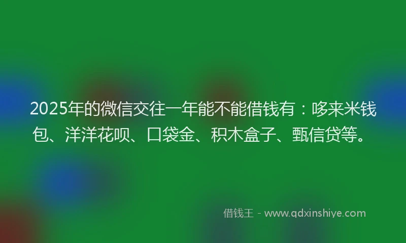 2025年的微信交往一年能不能借钱有：哆来米钱包、洋洋花呗、口袋金、积木盒子、甄信贷等。