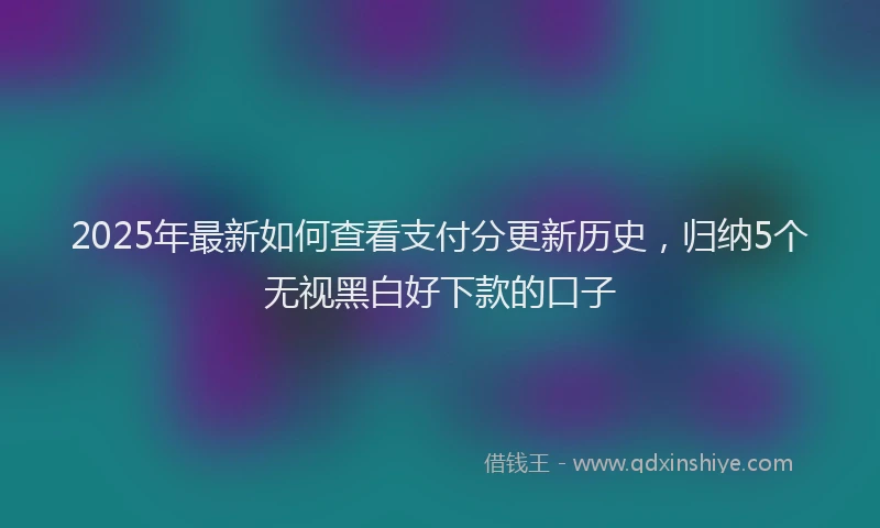 2025年最新如何查看支付分更新历史，归纳5个无视黑白好下款的口子