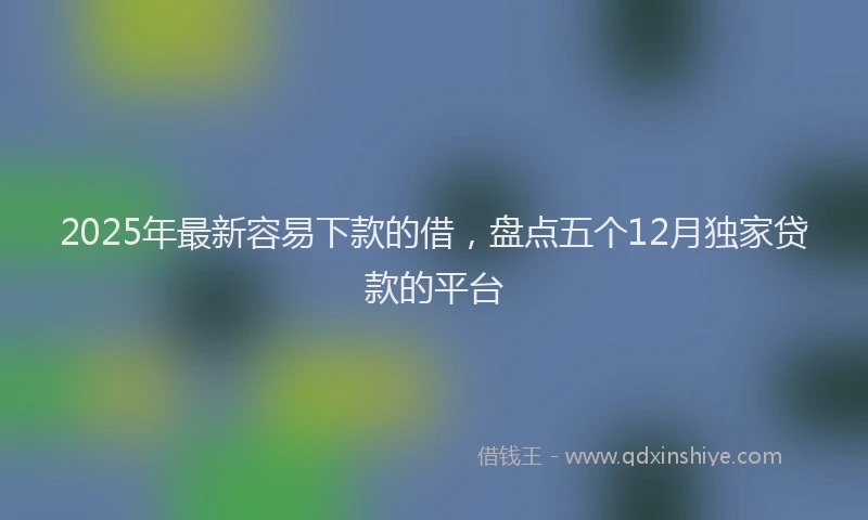 2025年最新容易下款的借，盘点五个12月独家贷款的平台