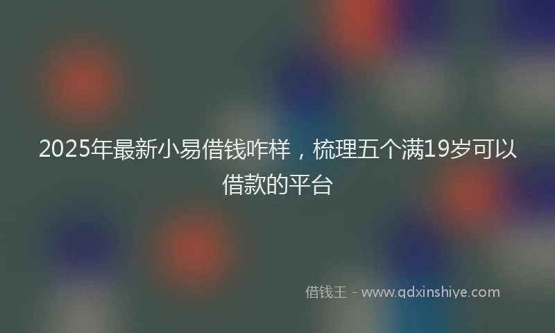 2025年最新小易借钱咋样，梳理五个满19岁可以借款的平台