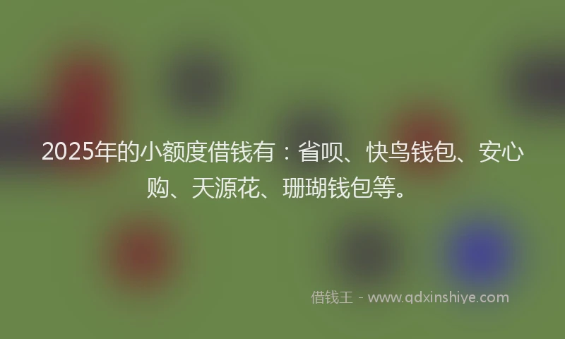 2025年的小额度借钱有：省呗、快鸟钱包、安心购、天源花、珊瑚钱包等。