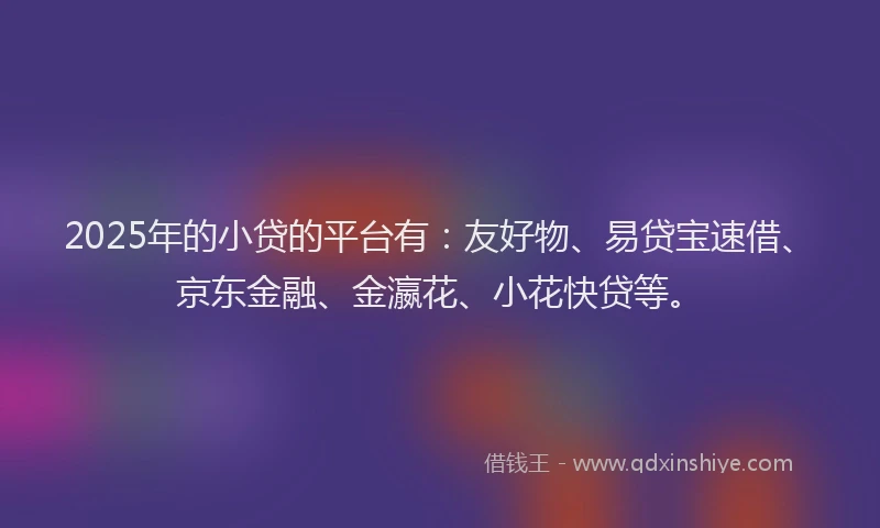 2025年的小贷的平台有：友好物、易贷宝速借、京东金融、金瀛花、小花快贷等。