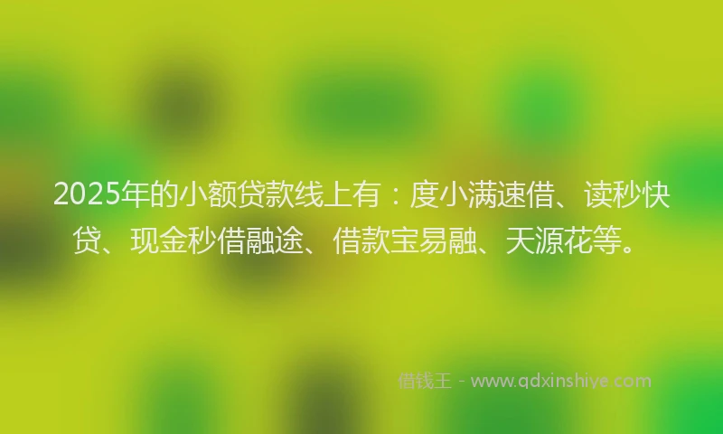 2025年的小额贷款线上有：度小满速借、读秒快贷、现金秒借融途、借款宝易融、天源花等。