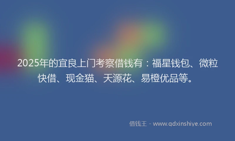 2025年的宜良上门考察借钱有：福星钱包、微粒快借、现金猫、天源花、易橙优品等。