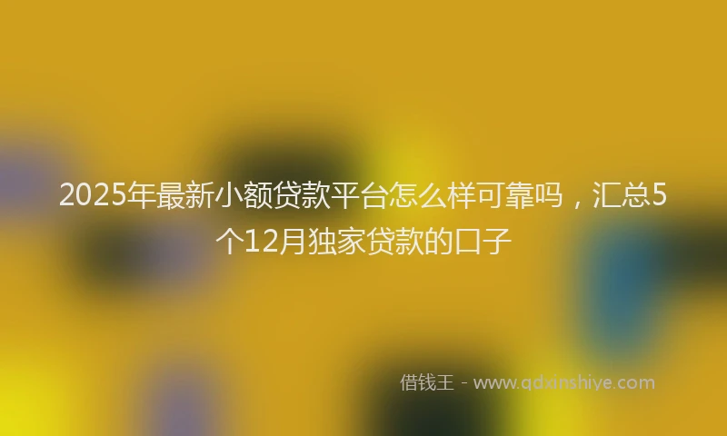 2025年最新小额贷款平台怎么样可靠吗，汇总5个12月独家贷款的口子