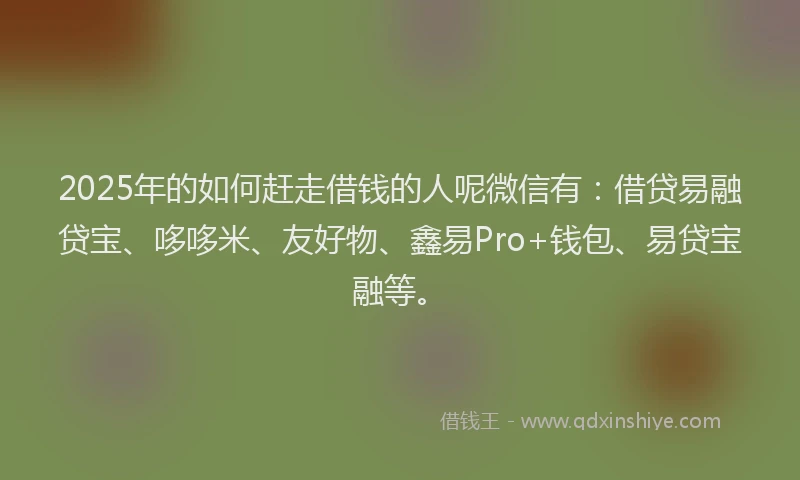 2025年的如何赶走借钱的人呢微信有：借贷易融贷宝、哆哆米、友好物、鑫易Pro+钱包、易贷宝融等。