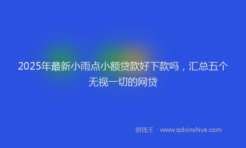 2025年最新小雨点小额贷款好下款吗，汇总五个无视一切的网贷