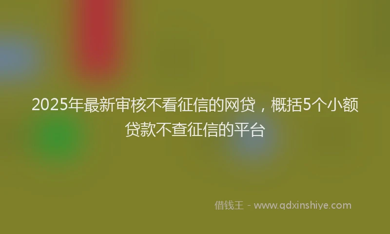 2025年最新审核不看征信的网贷，概括5个小额贷款不查征信的平台