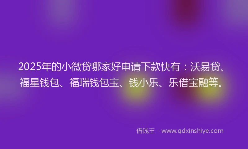 2025年的小微贷哪家好申请下款快有：沃易贷、福星钱包、福瑞钱包宝、钱小乐、乐借宝融等。