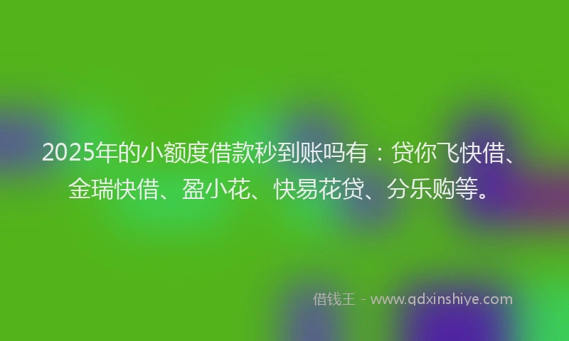 2025年的小额度借款秒到账吗有：贷你飞快借、金瑞快借、盈小花、快易花贷、分乐购等。