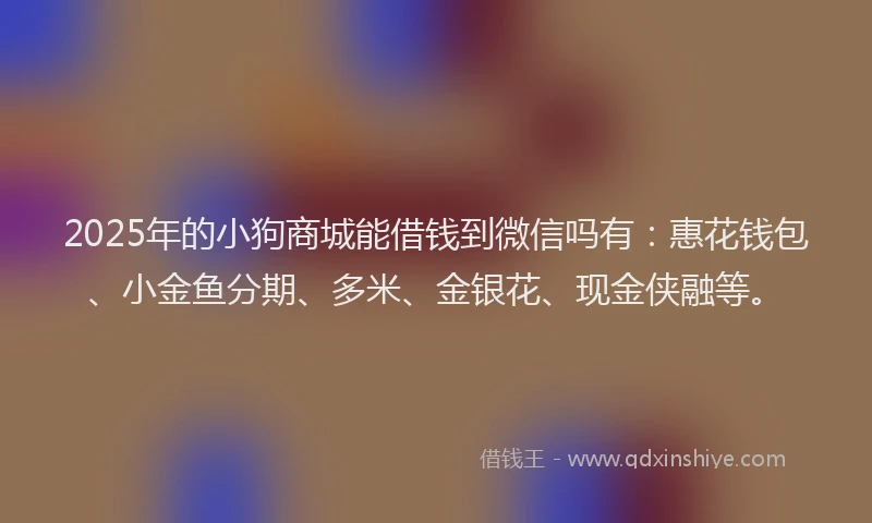 2025年的小狗商城能借钱到微信吗有：惠花钱包、小金鱼分期、多米、金银花、现金侠融等。