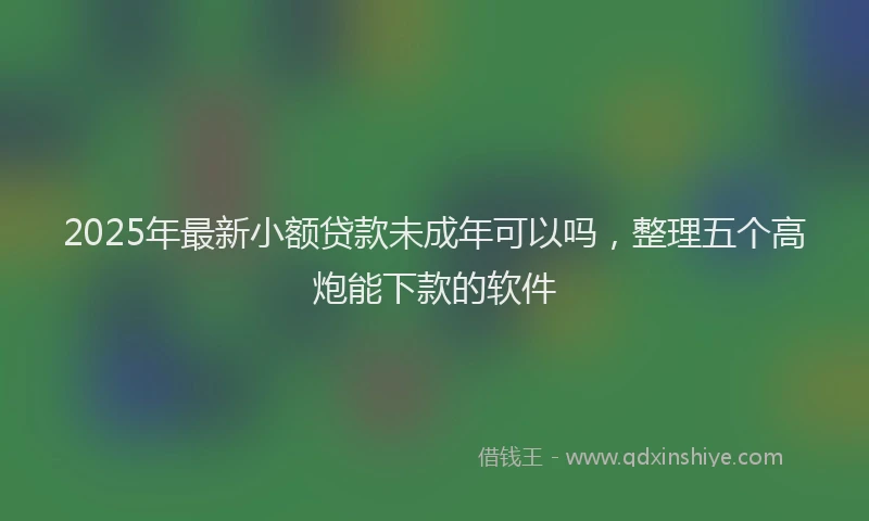 2025年最新小额贷款未成年可以吗，整理五个高炮能下款的软件