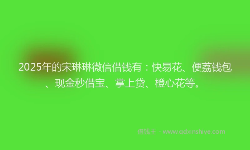 2025年的宋琳琳微信借钱有：快易花、便荔钱包、现金秒借宝、掌上贷、橙心花等。