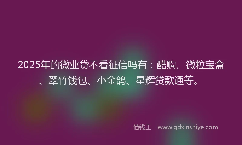 2025年的微业贷不看征信吗有：酷购、微粒宝盒、翠竹钱包、小金鸽、星辉贷款通等。