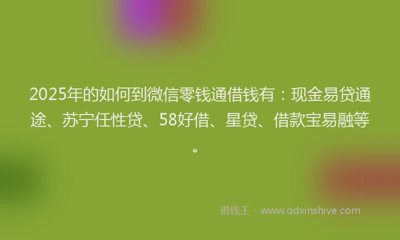 2025年的如何到微信零钱通借钱有：现金易贷通途、苏宁任性贷、58好借、星贷、借款宝易融等。