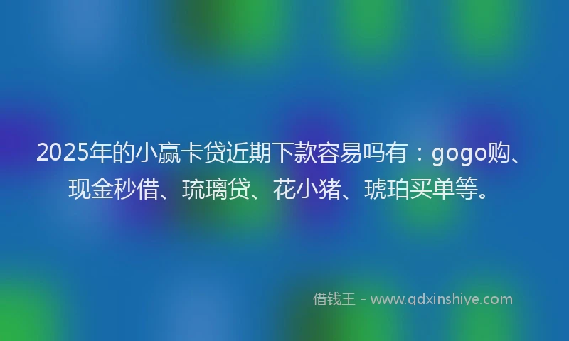 2025年的小赢卡贷近期下款容易吗有：gogo购、现金秒借、琉璃贷、花小猪、琥珀买单等。