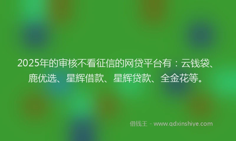 2025年的审核不看征信的网贷平台有：云钱袋、鹿优选、星辉借款、星辉贷款、全金花等。