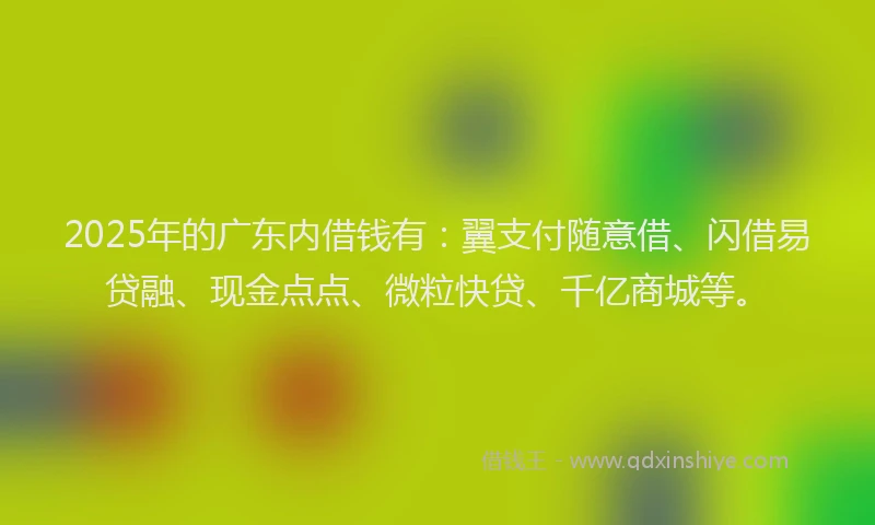 2025年的广东内借钱有：翼支付随意借、闪借易贷融、现金点点、微粒快贷、千亿商城等。