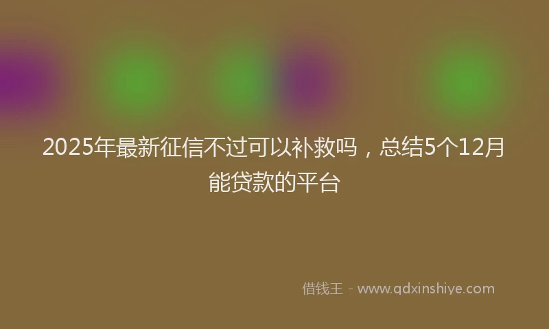 2025年最新征信不过可以补救吗，总结5个12月能贷款的平台
