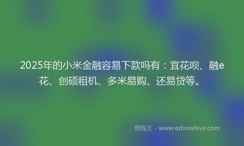 2025年的小米金融容易下款吗有：宜花呗、融e花、创硕租机、多米易购、还易贷等。