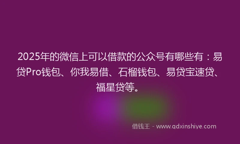 2025年的微信上可以借款的公众号有哪些有：易贷Pro钱包、你我易借、石榴钱包、易贷宝速贷、福星贷等。