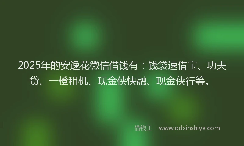 2025年的安逸花微信借钱有：钱袋速借宝、功夫贷、一橙租机、现金侠快融、现金侠行等。