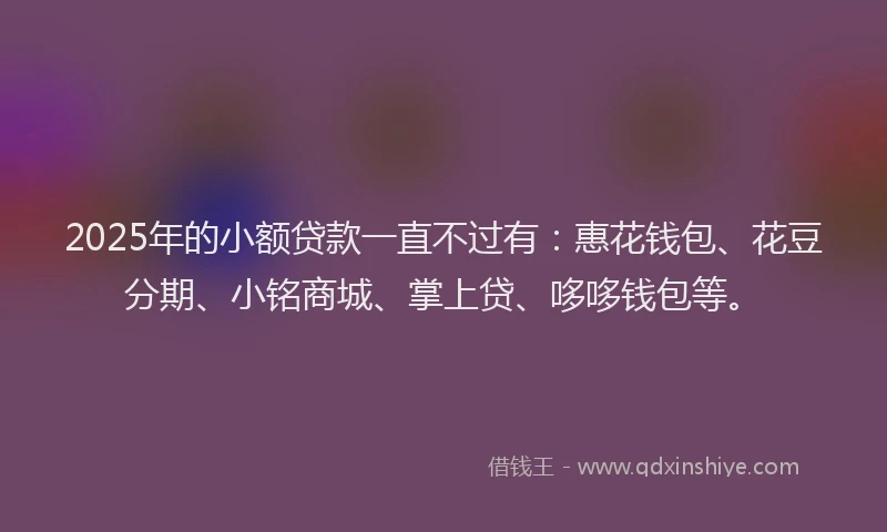 2025年的小额贷款一直不过有：惠花钱包、花豆分期、小铭商城、掌上贷、哆哆钱包等。