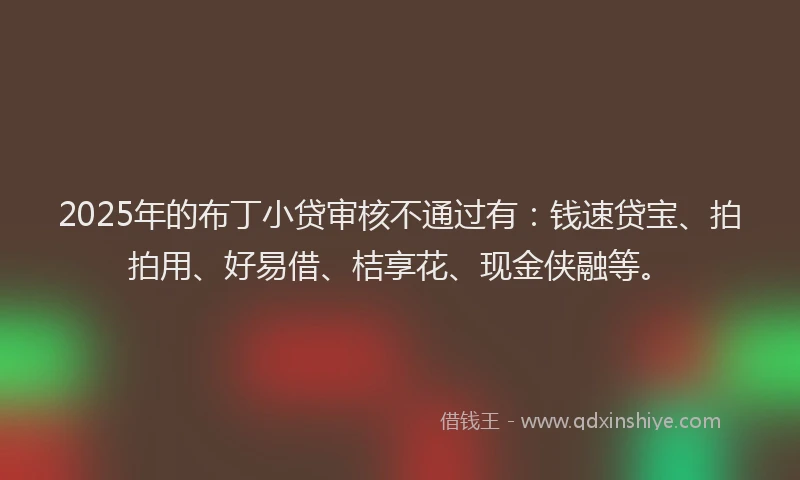 2025年的布丁小贷审核不通过有：钱速贷宝、拍拍用、好易借、桔享花、现金侠融等。