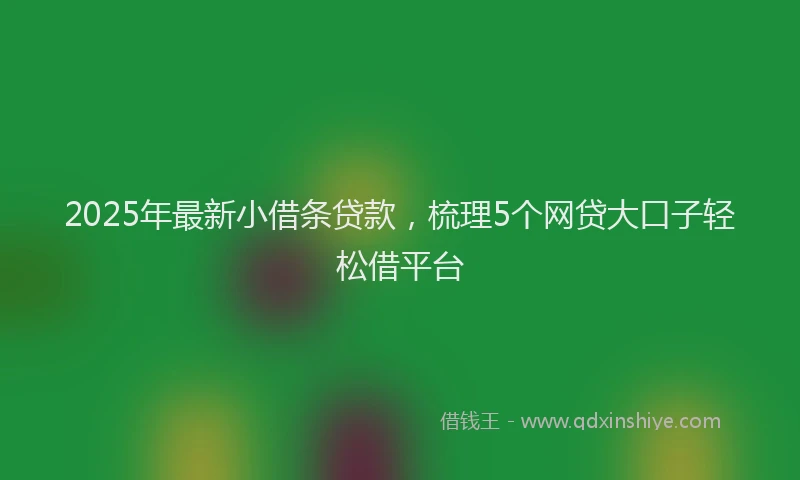2025年最新小借条贷款，梳理5个网贷大口子轻松借平台