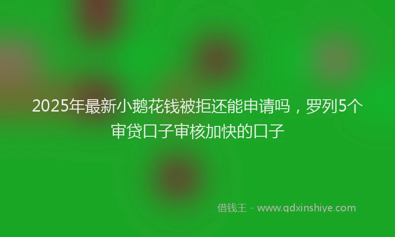 2025年最新小鹅花钱被拒还能申请吗，罗列5个审贷口子审核加快的口子