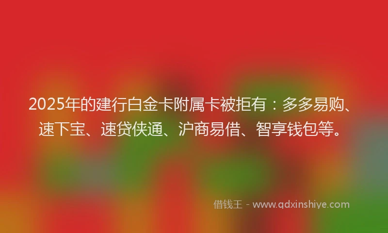 2025年的建行白金卡附属卡被拒有：多多易购、速下宝、速贷侠通、沪商易借、智享钱包等。