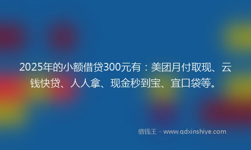 2025年的小额借贷300元有：美团月付取现、云钱快贷、人人拿、现金秒到宝、宜口袋等。