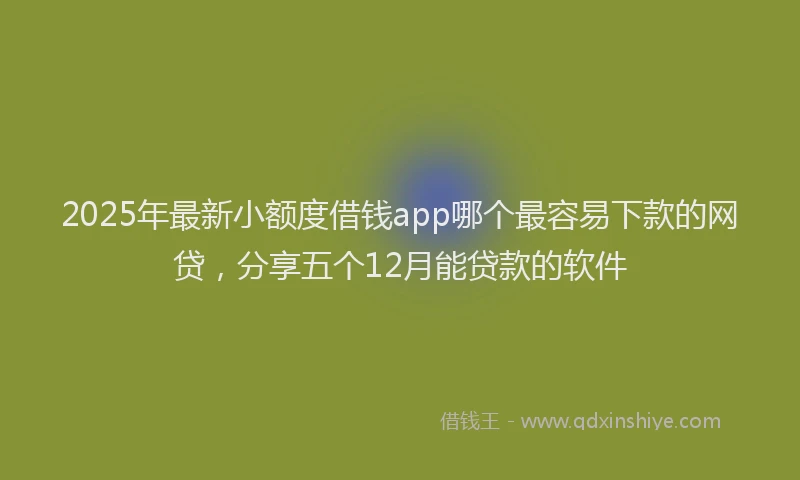 2025年最新小额度借钱app哪个最容易下款的网贷，分享五个12月能贷款的软件