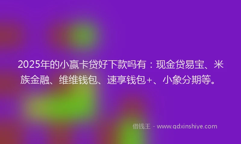 2025年的小赢卡贷好下款吗有：现金贷易宝、米族金融、维维钱包、速享钱包+、小象分期等。