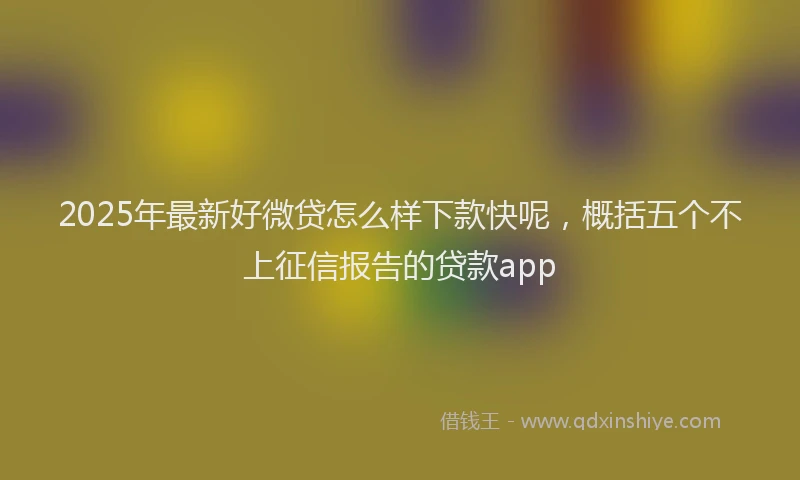 2025年最新好微贷怎么样下款快呢，概括五个不上征信报告的贷款app