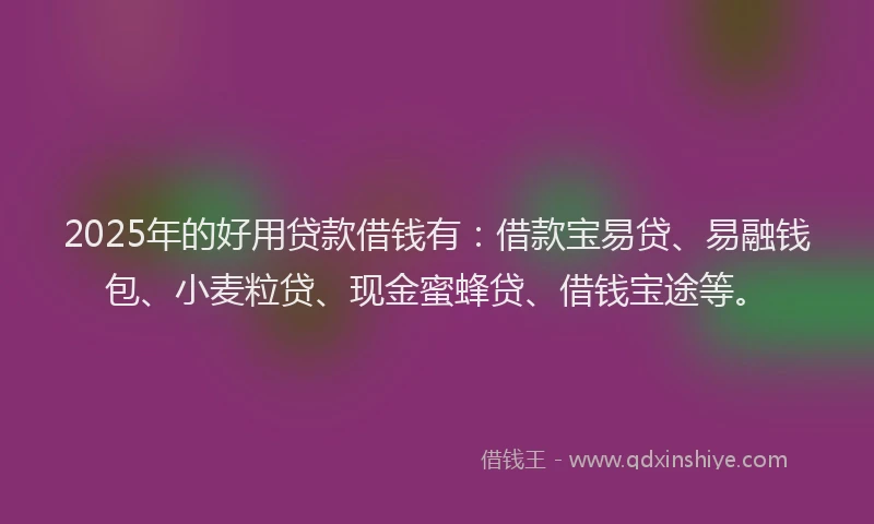 2025年的好用贷款借钱有：借款宝易贷、易融钱包、小麦粒贷、现金蜜蜂贷、借钱宝途等。