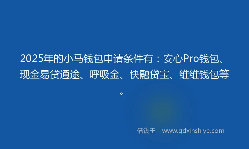 2025年的小马钱包申请条件有：安心Pro钱包、现金易贷通途、呼吸金、快融贷宝、维维钱包等。