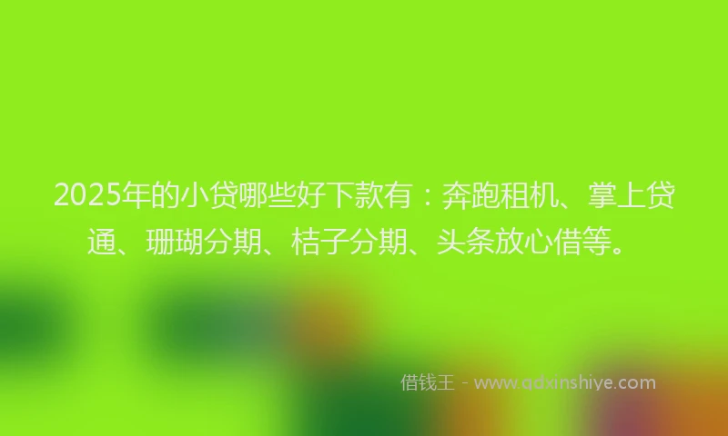 2025年的小贷哪些好下款有：奔跑租机、掌上贷通、珊瑚分期、桔子分期、头条放心借等。