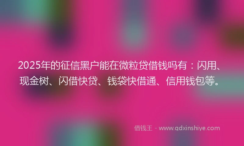 2025年的征信黑户能在微粒贷借钱吗有：闪用、现金树、闪借快贷、钱袋快借通、信用钱包等。