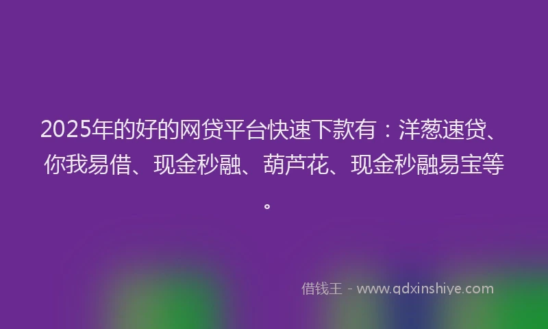 2025年的好的网贷平台快速下款有：洋葱速贷、你我易借、现金秒融、葫芦花、现金秒融易宝等。