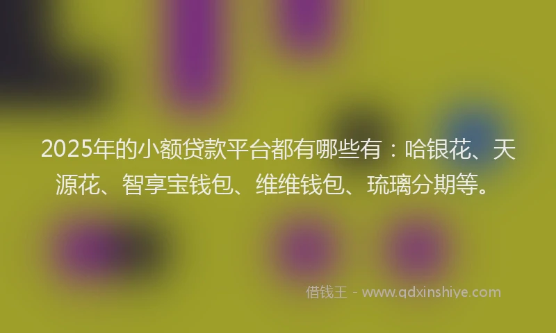 2025年的小额贷款平台都有哪些有：哈银花、天源花、智享宝钱包、维维钱包、琉璃分期等。