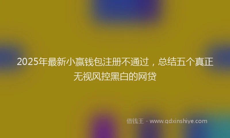 2025年最新小赢钱包注册不通过，总结五个真正无视风控黑白的网贷