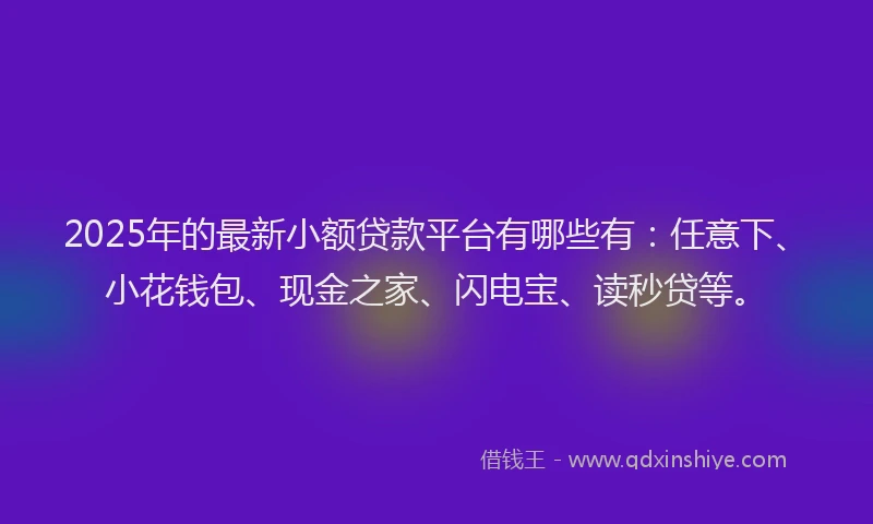 2025年的最新小额贷款平台有哪些有：任意下、小花钱包、现金之家、闪电宝、读秒贷等。