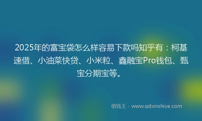 2025年的富宝袋怎么样容易下款吗知乎有：柯基速借、小油菜快贷、小米粒、鑫融宝Pro钱包、甄宝分期宝等。