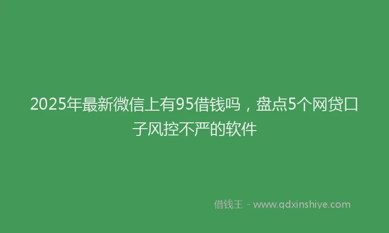 2025年最新微信上有95借钱吗，盘点5个网贷口子风控不严的软件