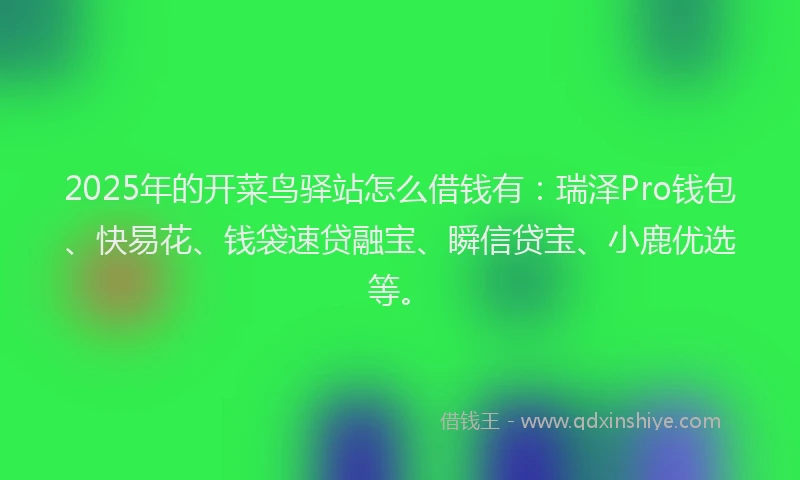 2025年的开菜鸟驿站怎么借钱有：瑞泽Pro钱包、快易花、钱袋速贷融宝、瞬信贷宝、小鹿优选等。