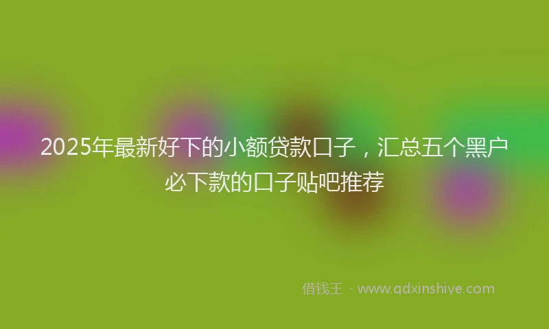 2025年最新好下的小额贷款口子，汇总五个黑户必下款的口子贴吧推荐
