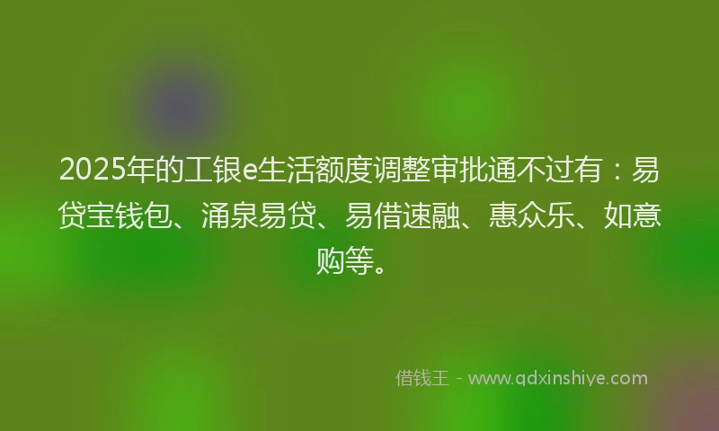 2025年的工银e生活额度调整审批通不过有：易贷宝钱包、涌泉易贷、易借速融、惠众乐、如意购等。
