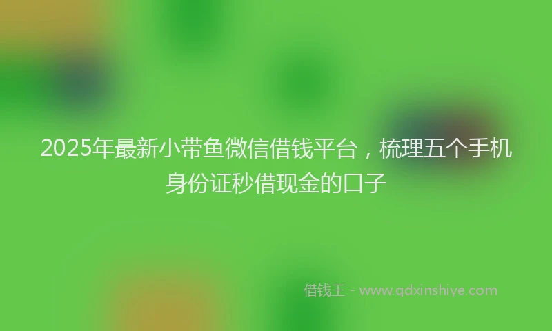 2025年最新小带鱼微信借钱平台，梳理五个手机身份证秒借现金的口子