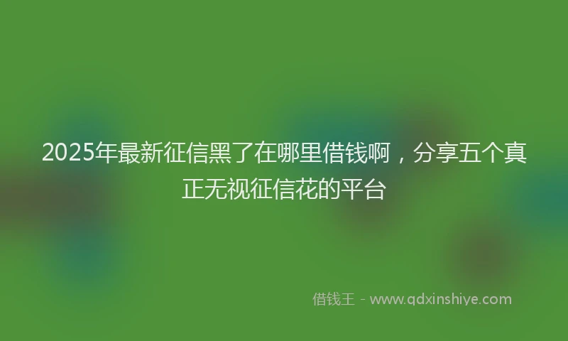 2025年最新征信黑了在哪里借钱啊，分享五个真正无视征信花的平台